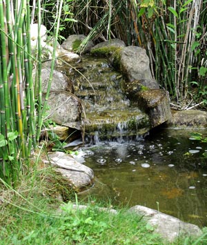 Bassin de jardin avec cascade : installation, prix et conseils