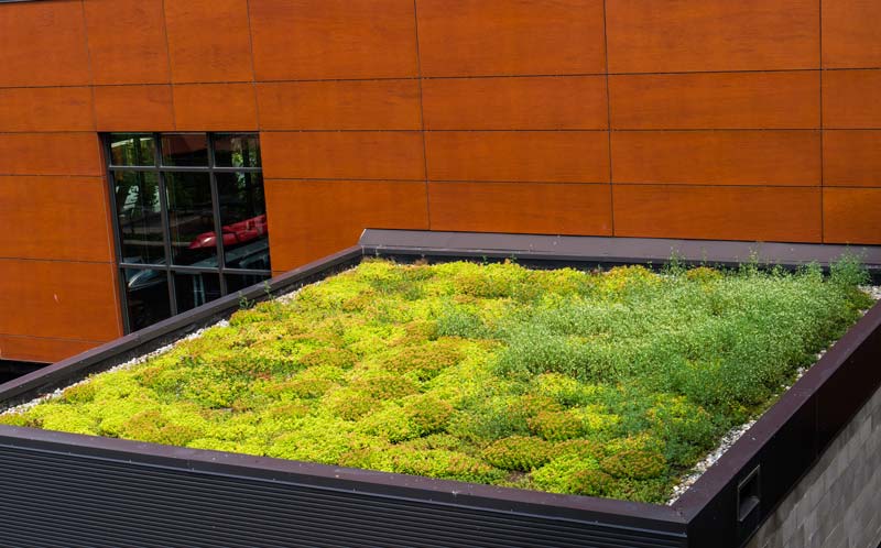 Toiture végétalisée : comment faire ? A quel prix